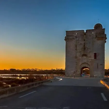 Artemia - Avec Piscine Aigues-Mortes